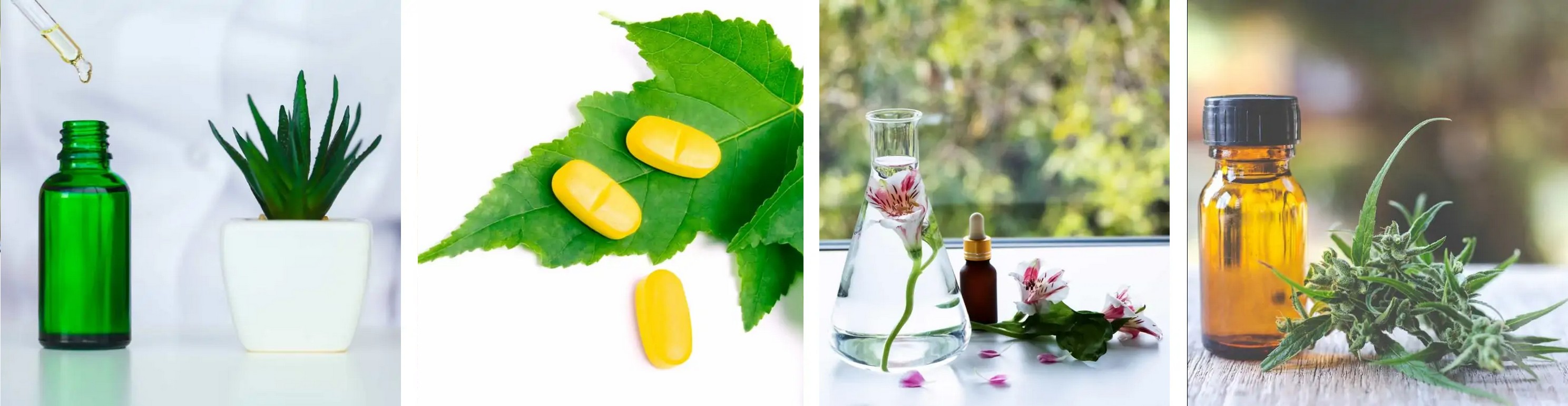 Produzioni Nutraceutiche